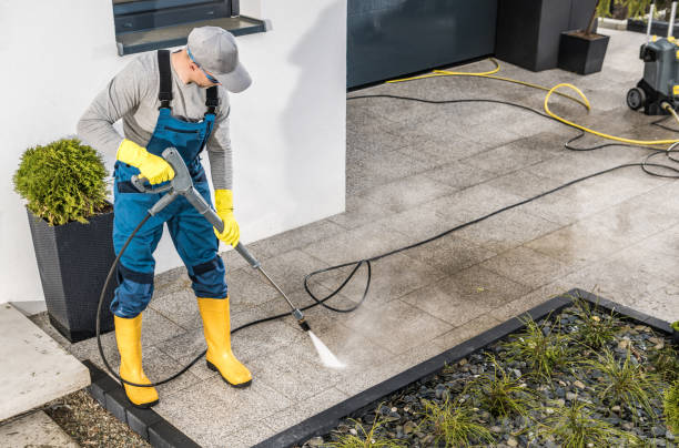 Best Roof Power Washing Services  in Timberville, VA